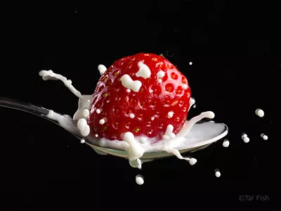 tal fish erdbeer splash milch