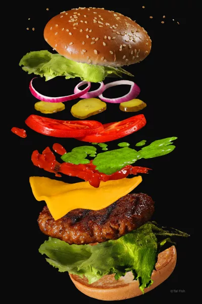 tal fish flying burger7