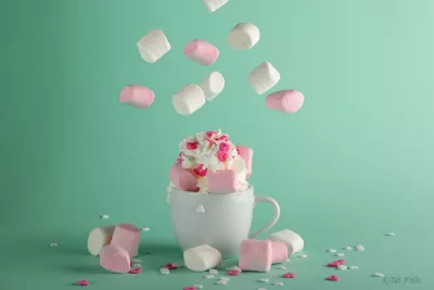 tal fish flying marshmallow2